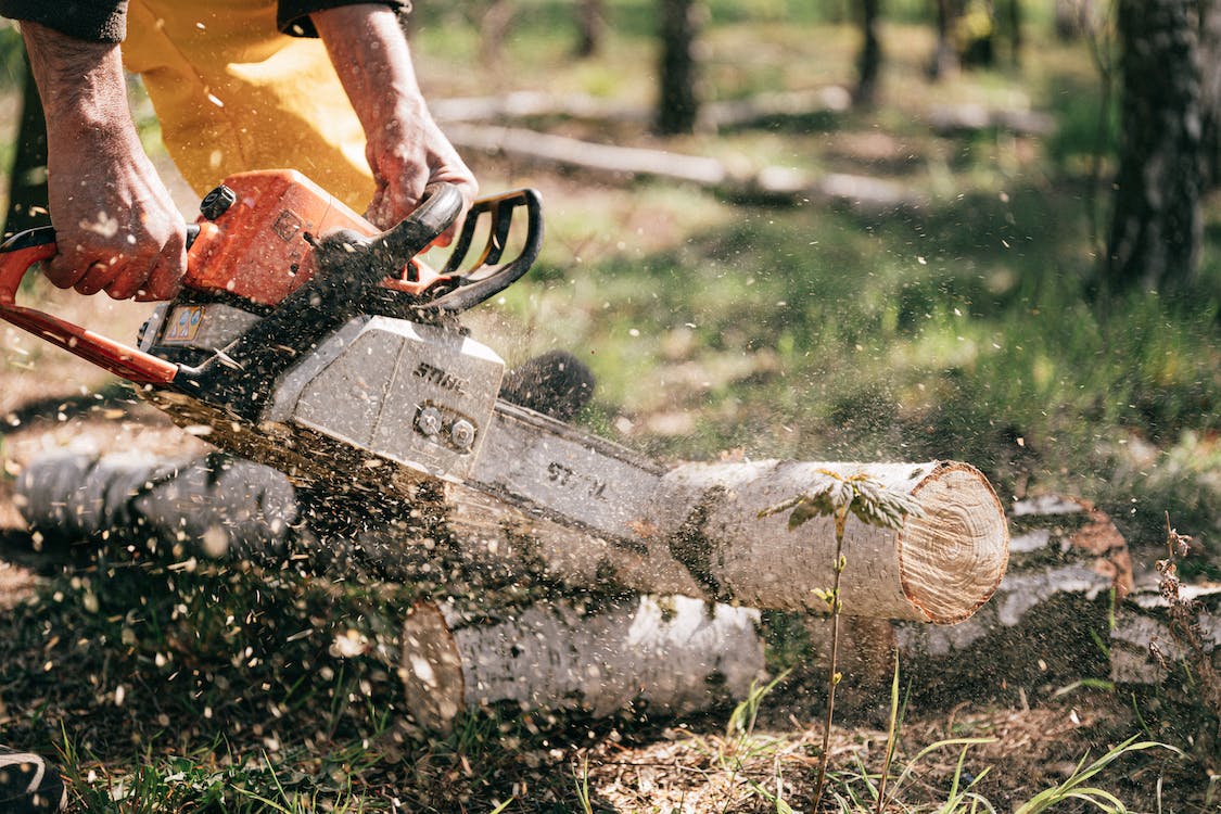 person using Stihl chainsaw to cut logs